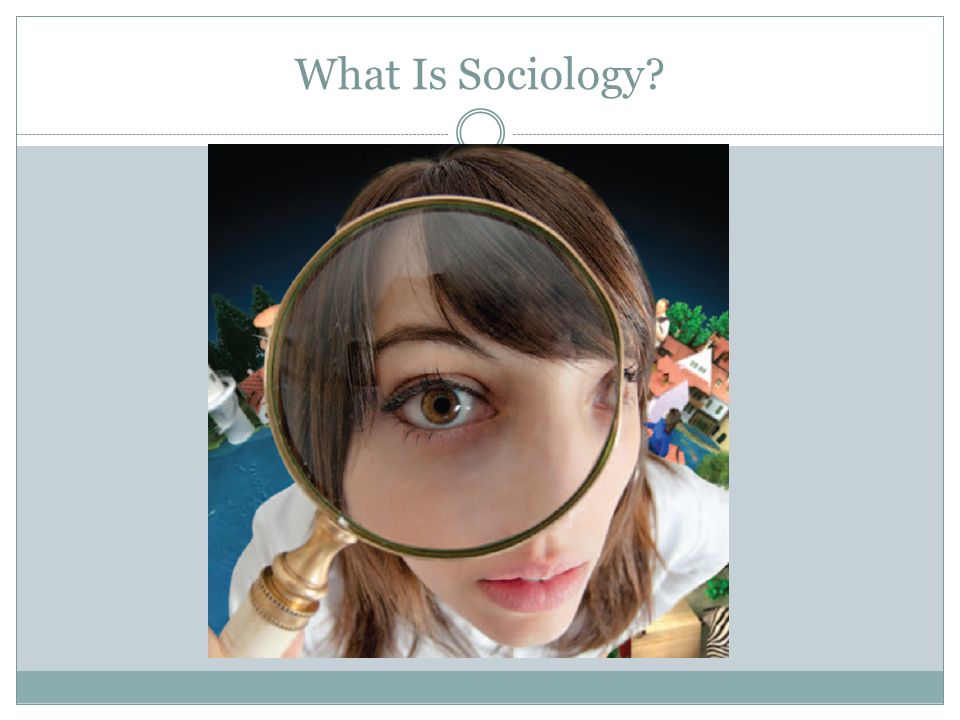 sociology a brief introduction